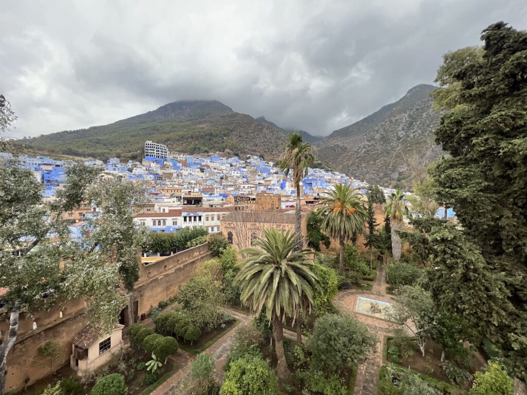 view of the chefchaouen medina from the kasbah with tall palm trees
