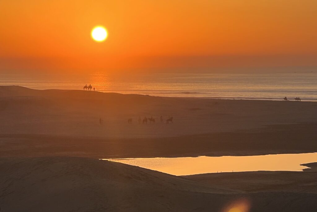 essaouira beach with an orange sunset and camels in the distance