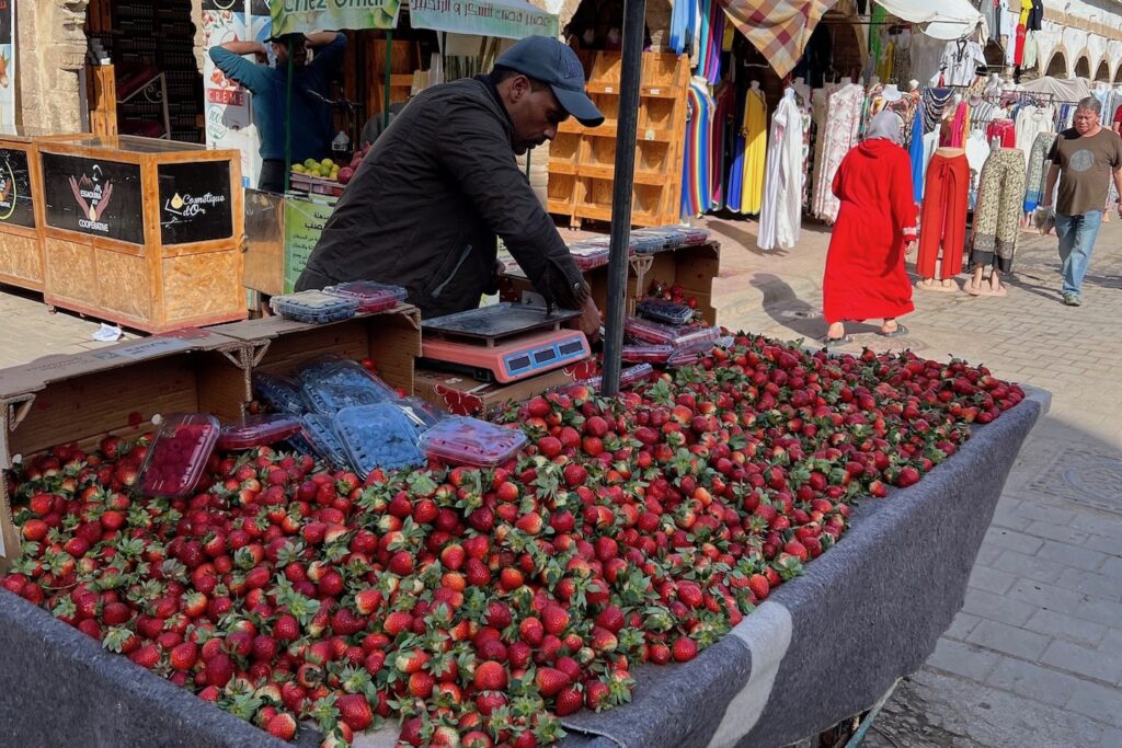 best time to visit essaouira for fresh fruit is in winter